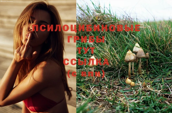 экстази Алзамай