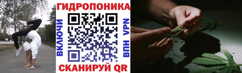Шишки марихуана семена  Богородск 